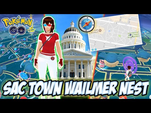 Back At It Again! // Sac Town Wailmer Nest