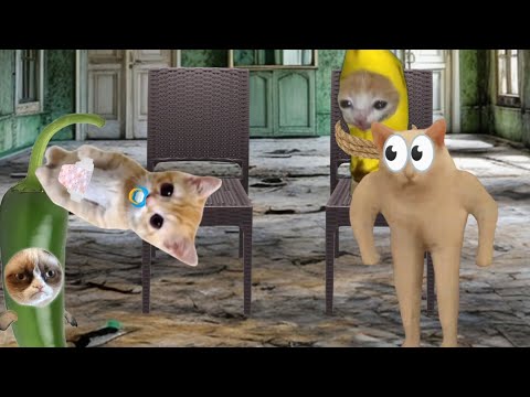 Baby Banana Cat Videos 😺❤️ 2 Minutes Episode 128