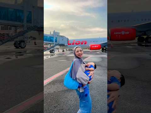 Naik Pesawat Terbang