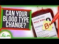 Understanding Blood Types and Stem Cell Transplants
