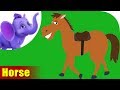 Horse: The Loyal and Magnificent Animal