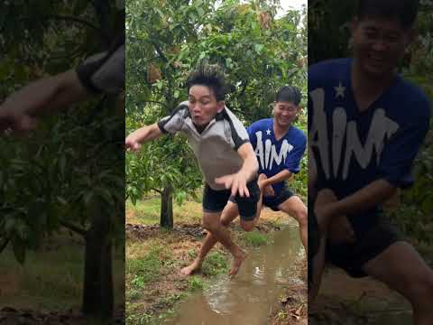 Bình thường dữ chưa | HoàiPhong TV #shortvideo