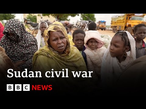 Sudan on verge of 'worst famine in the world' as civil war continues | BBC News