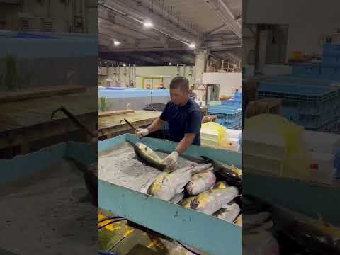 川口くんの職人技　#shorts