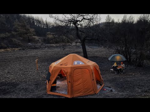 YANMIŞ ORMANDA KAMP @temavakfi