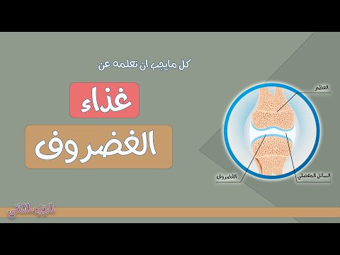 كل مايجب ان تعلمه عن الغضروف و غذائه ! لا علاج دوائي و لا مكملات غذائية. غذاء مجاني يحتاج 10 دقائق