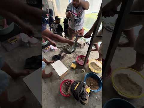 Semua panik kalau Abah Dedom narik babon #shorts #denidomba #adunmancing