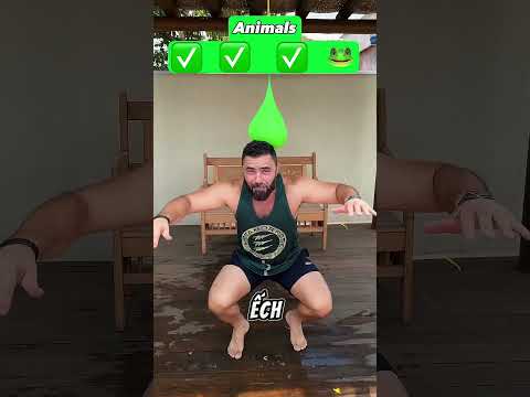 Con vật nào sẽ làm nổ quả bóng bay?! #xuhuong #funny #viralvideo