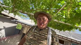БЛОГЕР УЗУМ ПУТАШ СИРЛАРИНИ АЙТИБ ТАШЛАДИ БУ ХАКИКАТМИ...