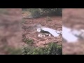 Consequências da Barragem da Samarco