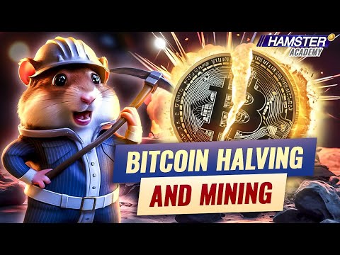Hamster Academy. Bitcoin Halving and Mining: Essential Knowledge