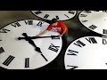Meal Timing and Nutrition Concepts