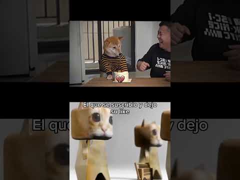 JAJAJA XD
