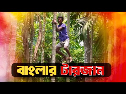 বাংলার টারজান । মুহুর্তেই এক গাছ থেকে শত গাছে ছুটে বেড়ায় মিরাজ