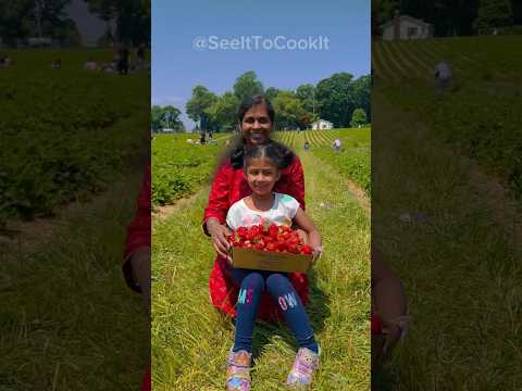 💥உங்களுக்கு Strawberry பிடிக்குமா..⁉️ 💢 🍓🍓#usatamilvlog #ytshort #tamilshorts #shorts #trending
