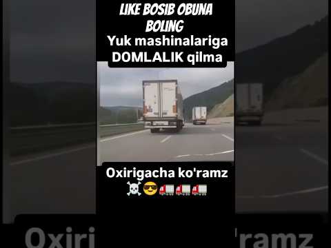 BULAR NIMA QILYAPTI 😮😮😮#UZB #REK #HAYOT #ZORTV #MUSIC REK FLOW #REK #OBUNABOLINGLAR