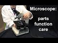 Understanding the Compound Light Microscope