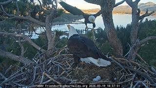 3-19-2026 Spring is Here!