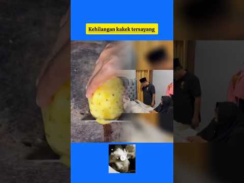 kehilangan kakek tersayang #ompedvisual #tipetipeomped