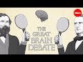 Understanding Brain Function Models