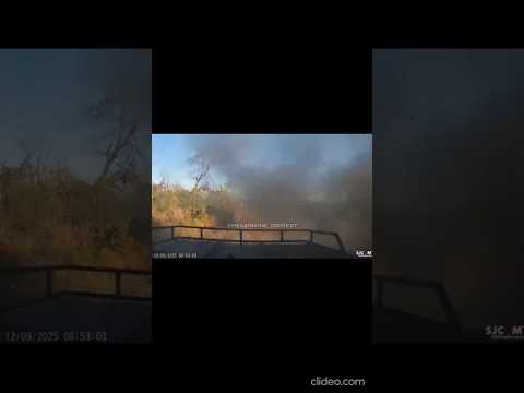 УНІКАЛЬНЕ ВІДЕО ЯК ОДИН FPV-ДРОН ЗСУ ЗУПИНЯЄ ШТУРМ РАШИСТІВ!