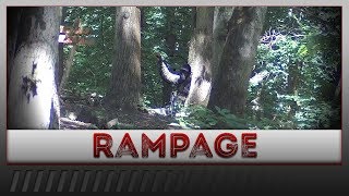 [AIRSOFT] I GOT THEM ALL | Go Back to Your Spawn :D