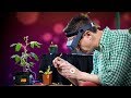 Understanding Plant Electrophysiology