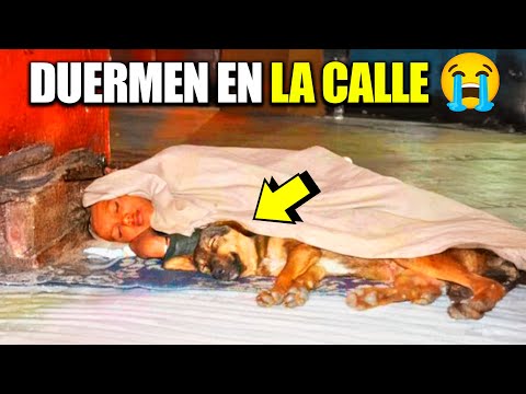 Una Foto, un Niño y su Perro… Lo Que Sucede Después es Inesperado 🧒🐾😭