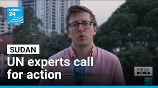 YouTube video thumbnail: UN Experts Urge Sudan-Wide Arms Embargo