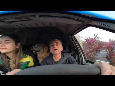 KLE 621 FULL & GIOVANA CANA BRASIL & PATRULHA CANINA NO UBER ESCOLAR 29-08-2024 PARTE 1