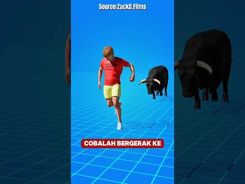 Lakukan ini jika kamu dikejar banteng‼️