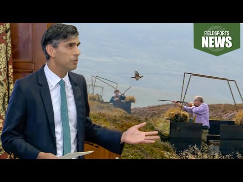 MPs speak up for grouse shooting – Fieldsports News, 2 July 2025