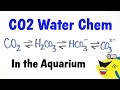 CO2 Effects on Aquarium pH