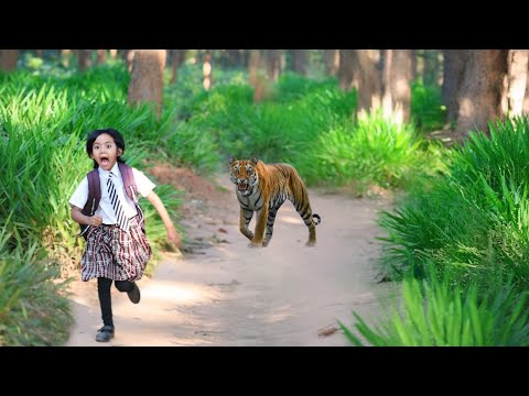 Tiger attack children in forest🌲| Royal bengal tiger | Tiger attack man in the forest