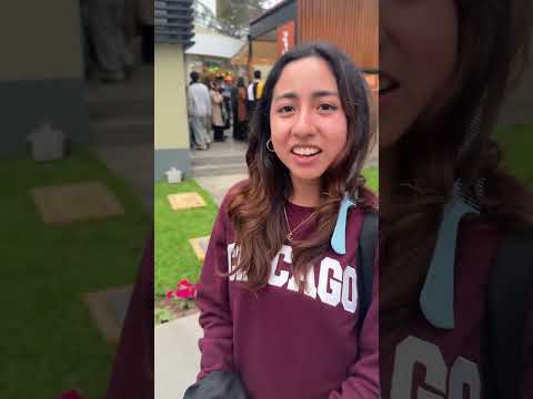 ¿Tu cabello está enredado?