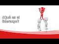 Leadership Skills and Decision Making