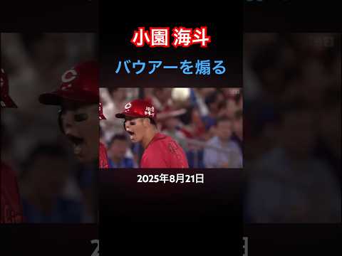 小園 バウアーにバットを蹴られ次の打席で怒る #プロ野球 #小園海斗 #バウアー #広島東洋カープ #横浜denaベイスターズ #煽り #キレる #横浜スタジアム