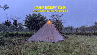 CAMPING SAAT HUJAN DERAS : BERSANTAI & TIDUR DENGAN SUARA HUJAN DI ATAP TENDA | ASMR
