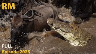 Africa’s Ultimate Survival Race | 2 Million Wildebeest on the Move | Animal Documentary