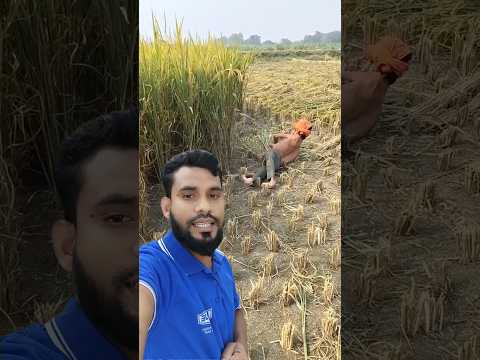 মন থেকে ভিডিও টা একটু দেখে যাবেন