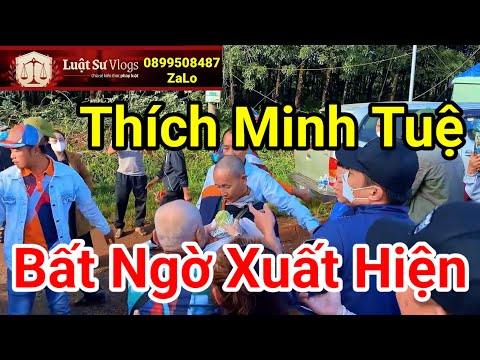 🔴 Trực Tiếp Sư Thích Minh Tuệ Xuất Hiện Khất Thực Có Liên Quan Ceo Nguyễn Phương Hằng? Luật Sư Vlogs