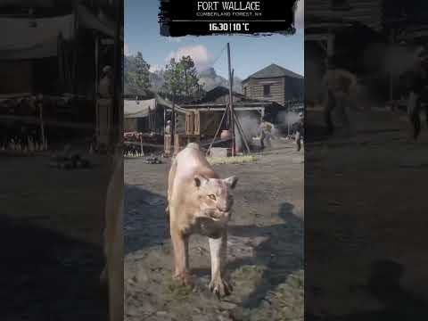 Consequences of entering the military fort with an animal in red dead resemption 2 #gaming #rdrd2