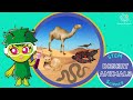 Desert Adaptations and Survival Strategies