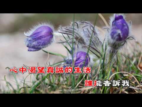 我的視訊渴望-karaoke 字幕