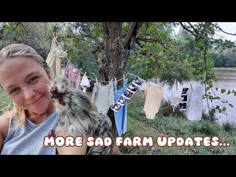BIG News, Sad News, & Something Exciting!