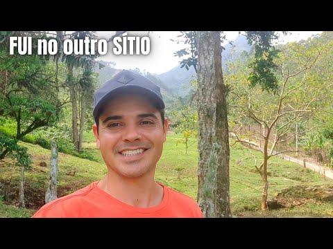 FUI NO OUTRO SÍTIO QUE ESTÁ A VENDA, FALEI O VALOR + NOVO PIQUETE PRAS GALINHAS FELIZES