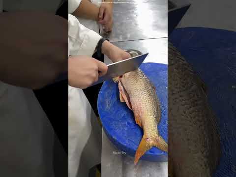 professional fish dish curry making in Japanese and Chinese