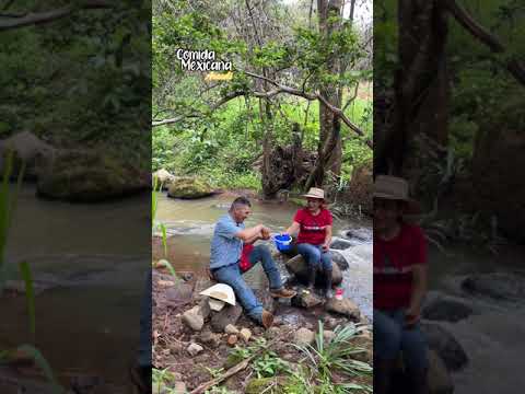 Hoy Nos Fuimos al Cerro y Nos Quedamos en el Arroyo