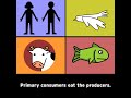 Ecosystem Dynamics and Food Chains
