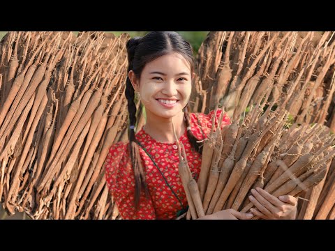 အညာ​ဒေသထွက်​ အစားစားခြံထဲသွားတူးစားဖူးကြလာရှင့် အဖုတ်ကြိုက်လာအပြုတ်ကြိုက်လာ